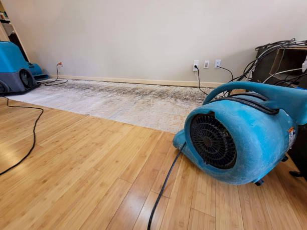 Professional Water Extraction technician working in Glenville, CT